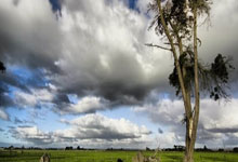 草榴社区冷门知识