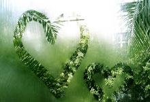 新手科普：什么是草榴邀请码？详解获取方式与作用